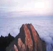 ҷ徰^