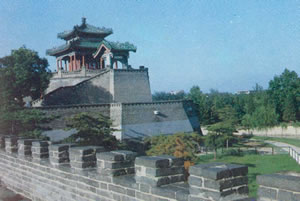 趙叢臺