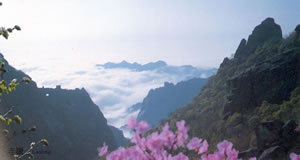 碣石山