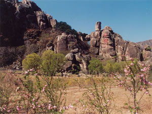 長壽山