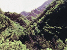 ɽɭ΅^(q)