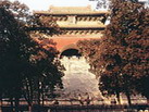 격^